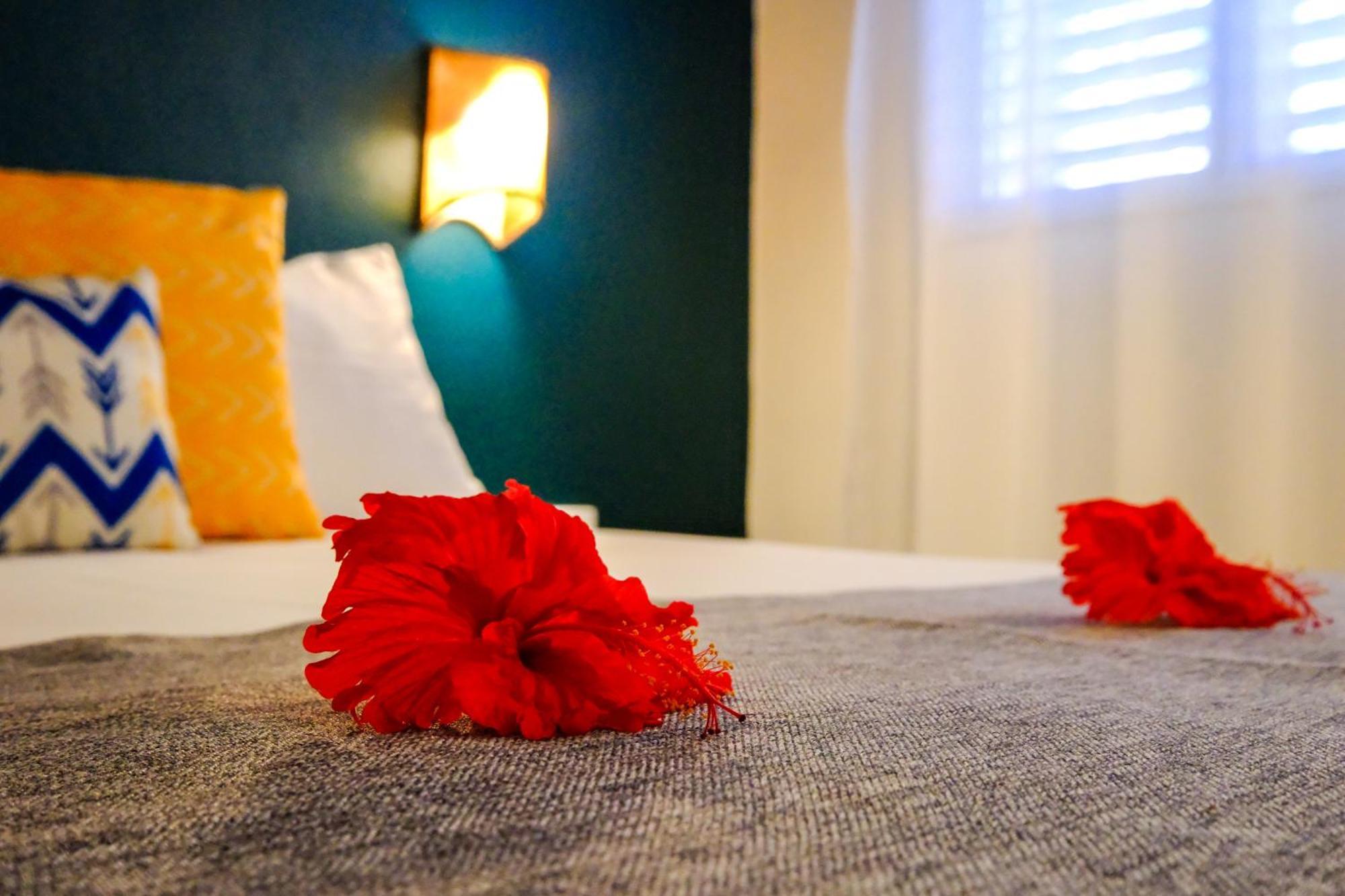 Hotel Enjoy Las Terrenas Room photo
